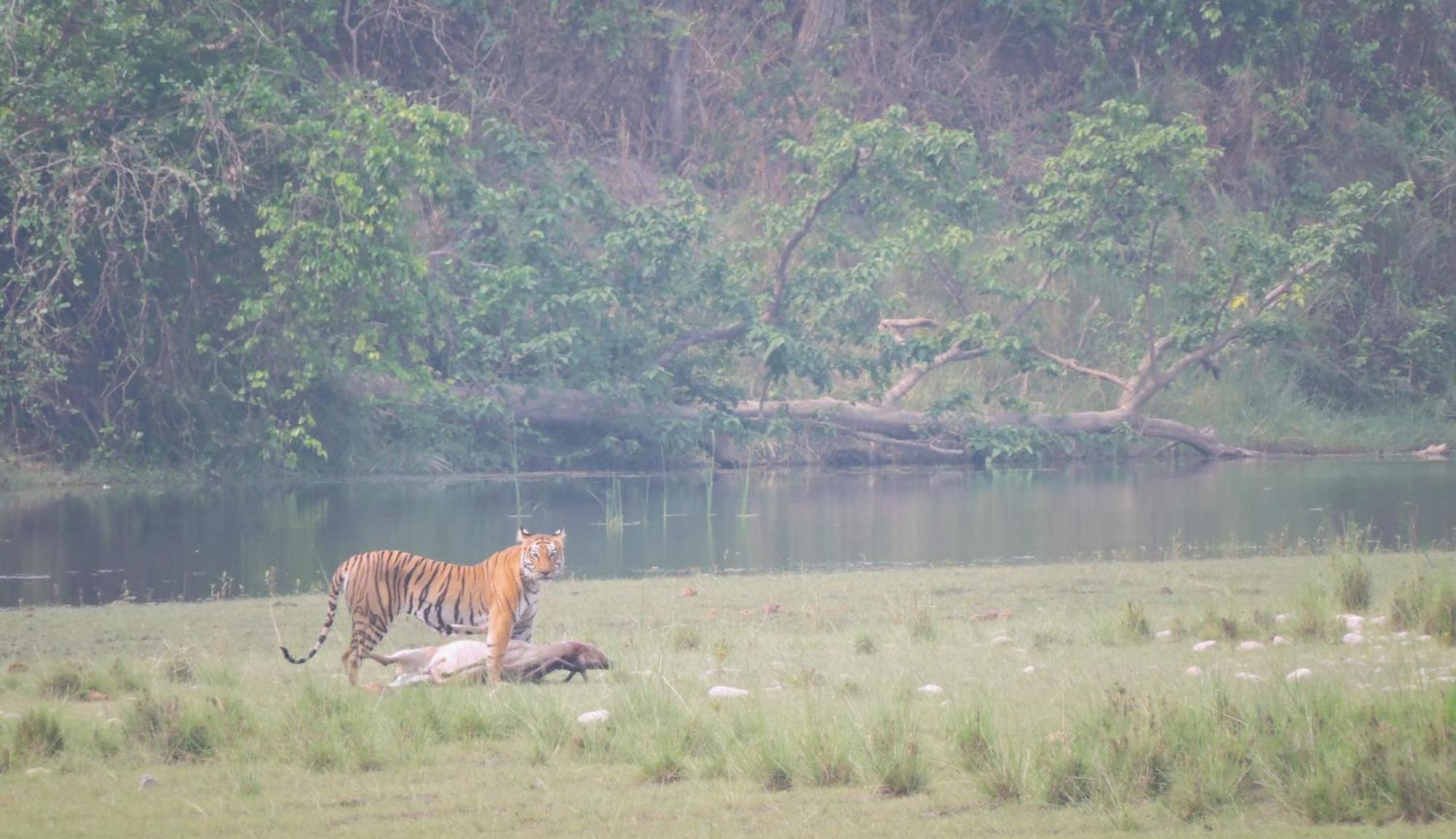 Babai Resort Pvt Ltd Bardiya Ngoại thất bức ảnh