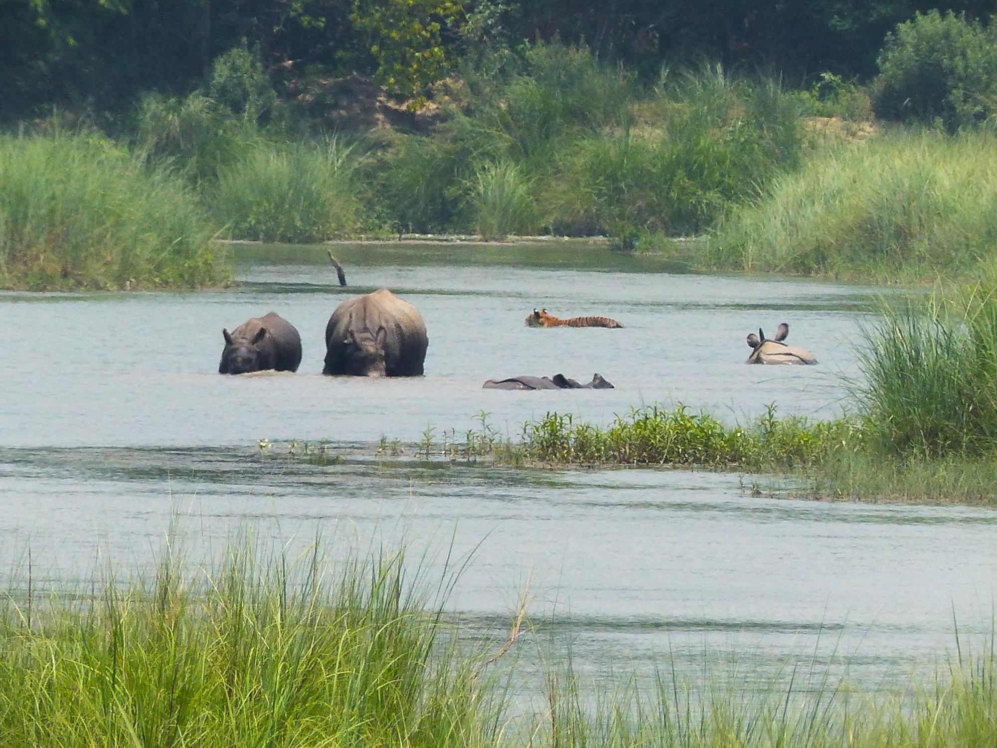 Babai Resort Pvt Ltd Bardiya Ngoại thất bức ảnh